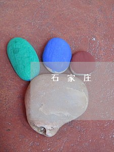 石家庄 信用卡逾期 石家庄 信用卡逾期